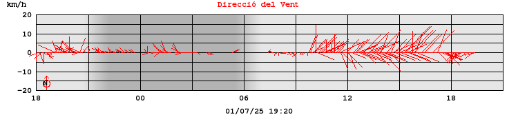 Direcció del Vent